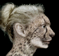 cheeta girl